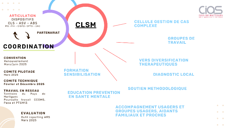 Schéma présentant le conseil local de santé mentale - Agrandir l'image (fenêtre modale)